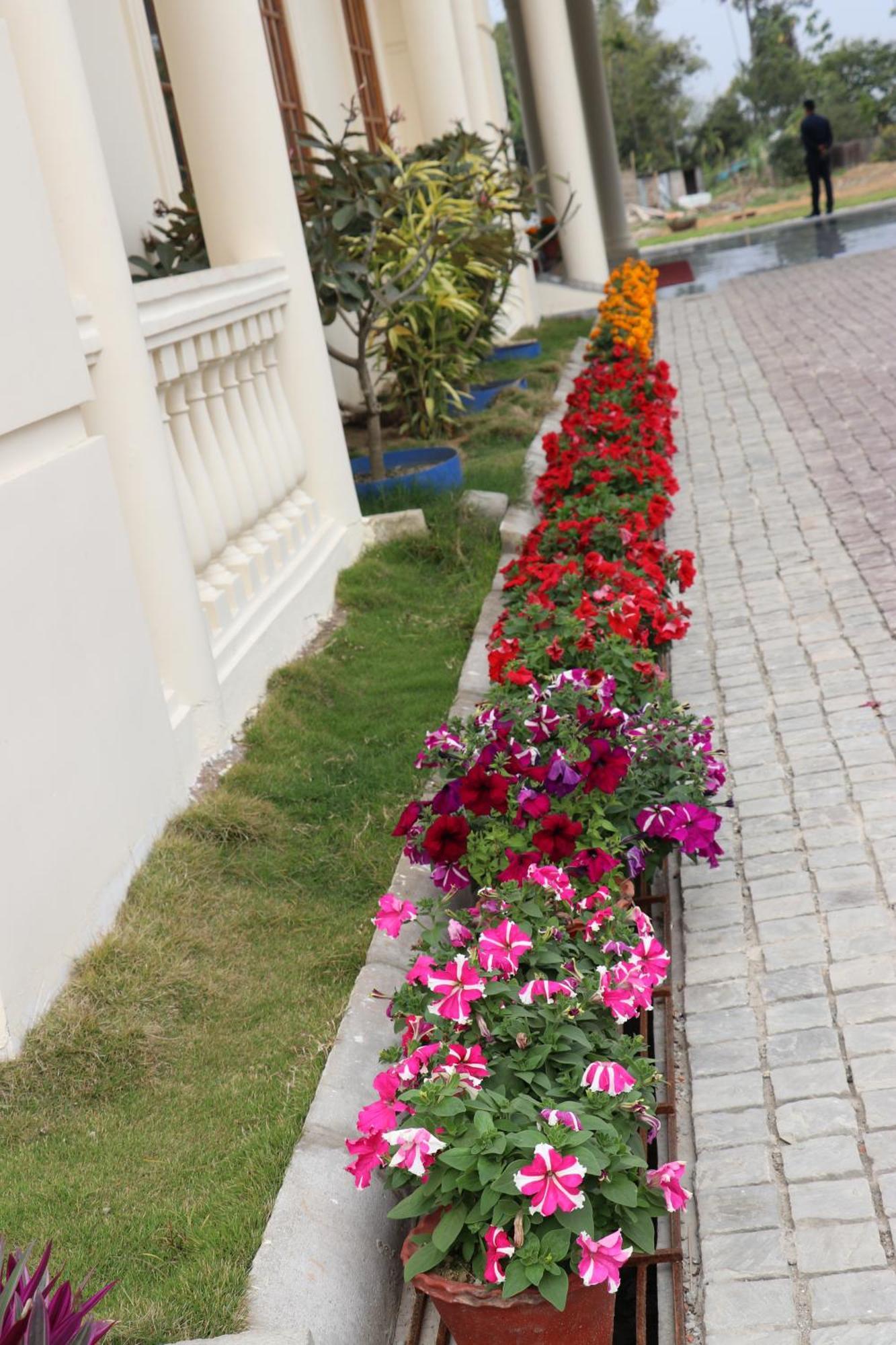 Royale De' Casa Resort Kaziranga Ngoại thất bức ảnh